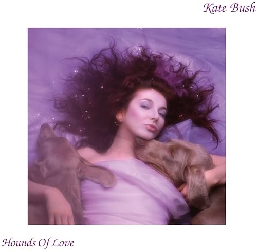 Hounds Of Love - 2018 Remaster [Musikkassette] von Fish People