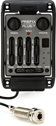 Fishman-Präfix Plus-T-Format groß von Fishman