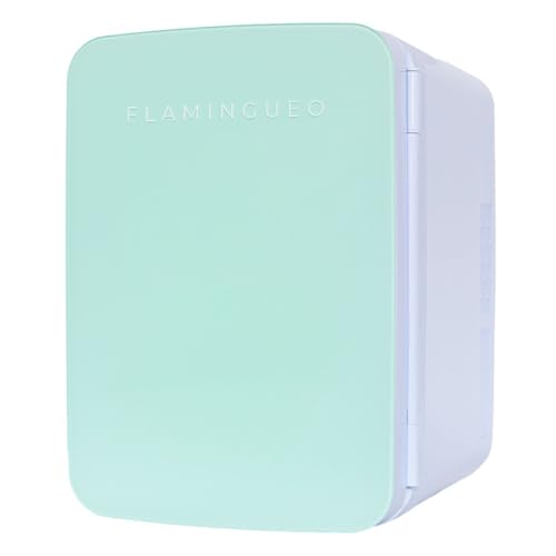 Flamingueo Mini Kühlschrank - Kühlschrank Klein 10L, 12V/220V, Mini Fridge, Funktion Kühlen und Heizen, Tischkühlschrank, Getränkekühlschrank Klein Flamingueo Mini Kühlschrank - Kühlschrank Klein 10L, 12V/220V, Mini Fridge, Funktion Kühlen und Heizen, Tischkühlschrank, Getränkekühlschrank Klein von Flamingueo