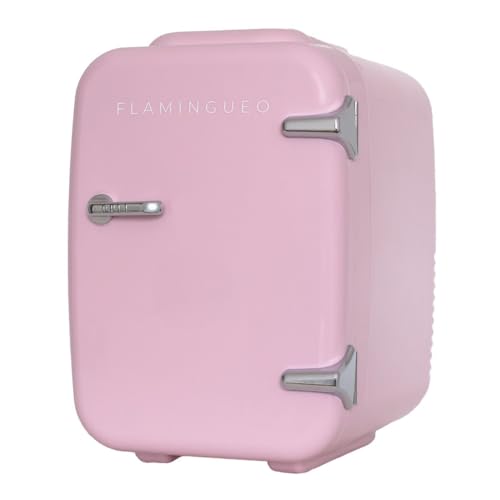 Flamingueo Kühlschrank Klein 4L - Mini Kühlschrank 12V/220V, Mini Fridge, Funktion Kühlen und Heizen, Mini Kühlschrank Retro, Aesthetic Room Decor von Flamingueo