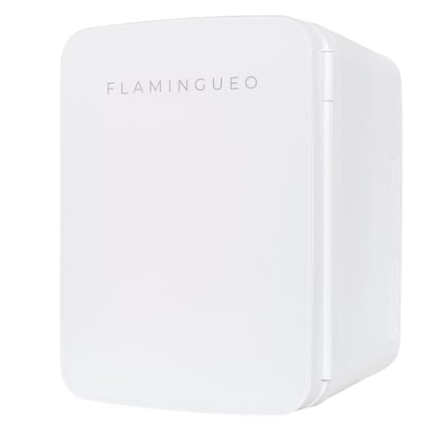 Flamingueo Mini Kühlschrank 10L - Kühlschrank Klein 12V/220V, Skincare Fridge, Funktion Kühlen und Heizen, Kleiner Kühlschrank, Aesthetic Room Decor von Flamingueo