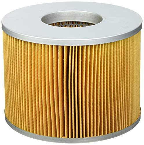 Fleetguard AF25567 Luftfilter Fleetguard AF25567 Luftfilter von Fleetguard