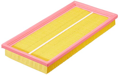 Fleetguard AF4919 Luftfilter-Panel Fleetguard AF4919 Luftfilter-Panel von Fleetguard