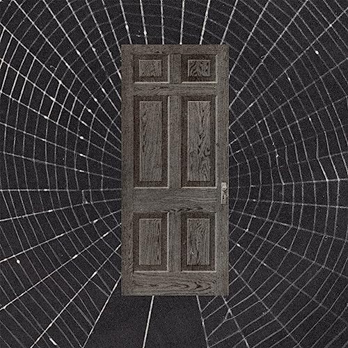 Orbweaving [Vinyl LP] von Flenser