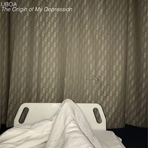 The Origin of My Depression [Vinyl LP] von Flenser / Cargo
