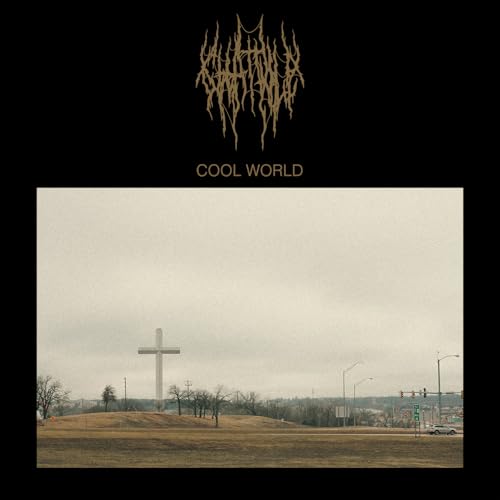 Cool World [Vinyl LP] von Flenser