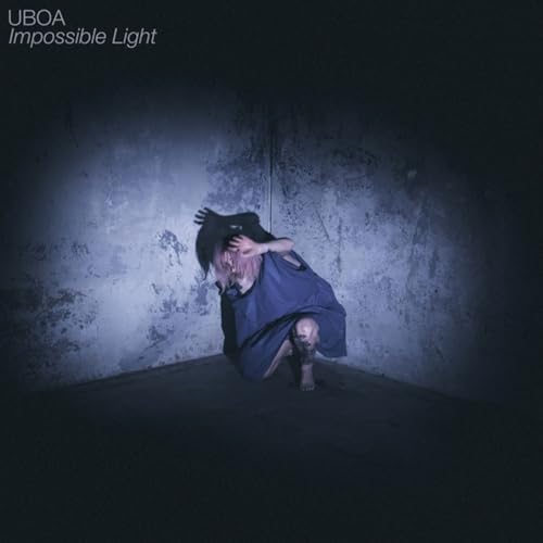 Impossible Light [Vinyl LP] von Flenser