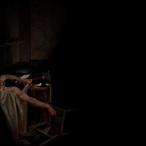Voids [Musikkassette] von Flenser