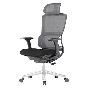 FlexiSpot Bürostuhl BS2 Stoff grau, Gestell grau FlexiSpot Bürostuhl BS2 Stoff grau, Gestell grau von FlexiSpot