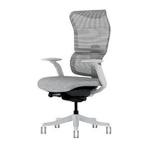 FlexiSpot Bürostuhl BS8 Pro Stoff grau, Gestell grau FlexiSpot Bürostuhl BS8 Pro Stoff grau, Gestell grau von FlexiSpot