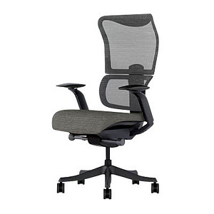 FlexiSpot Bürostuhl BS8 Pro Stoff grau, Gestell grau FlexiSpot Bürostuhl BS8 Pro Stoff grau, Gestell grau von FlexiSpot