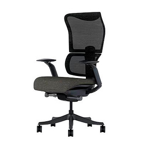FlexiSpot Bürostuhl BS8 Pro Stoff schwarz, Gestell schwarz FlexiSpot Bürostuhl BS8 Pro Stoff schwarz, Gestell schwarz von FlexiSpot