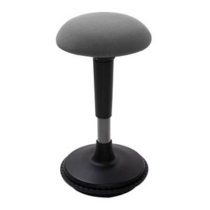 FlexiSpot Hocker BH4 dunkelgrau FlexiSpot Hocker BH4 dunkelgrau von FlexiSpot