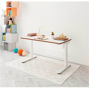 FlexiSpot SD1 höhenverstellbarer Schreibtisch weiß rechteckig abgerundet, 2-Fuß-Gestell weiß 100,0 x 60,0 cm FlexiSpot SD1 höhenverstellbarer Schreibtisch weiß rechteckig abgerundet, 2-Fuß-Gestell weiß 100,0 x 60,0 cm von FlexiSpot