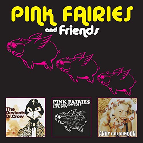 Pink Fairies and Friends von Floating world records