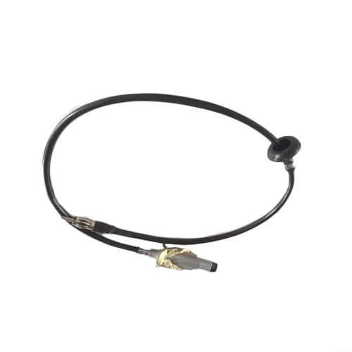 Ersatz-Radioantenne für Dodge Ram für Modelle 2002 2010, passend für Teilenummern 56043089AD, AF, AC Ersatz-Radioantenne für Dodge Ram für Modelle 2002 2010, passend für Teilenummern 56043089AD, AF, AC von Floweringbeter