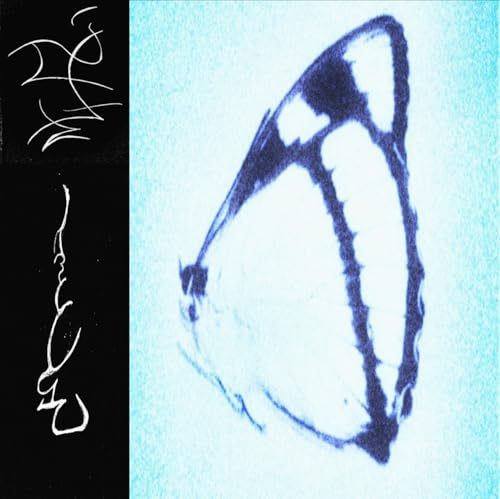 Inagape [Vinyl LP] von Flowing Downward