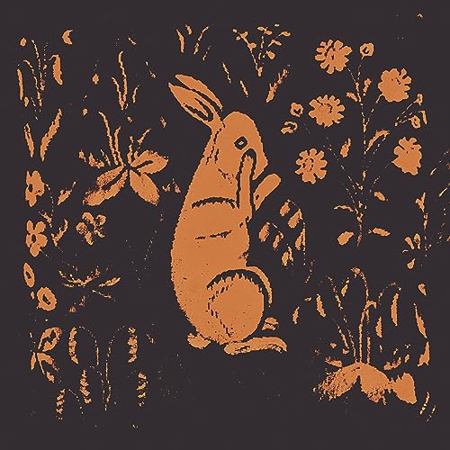 Rabbit Album [Vinyl LP] von Flowing Downward
