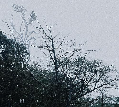 Rain [Musikkassette] von Flowing Downward