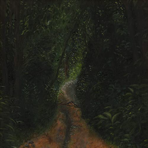 Toda Hist​ó​ria Pela Frente [Vinyl LP] von Flowing Downward