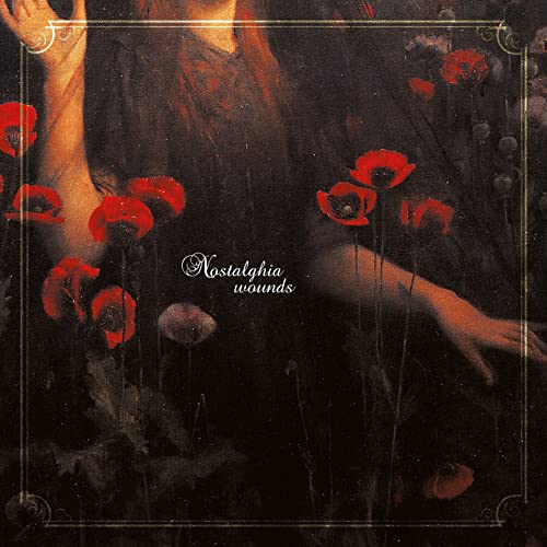 Wounds [Vinyl LP] von Flowing Downward