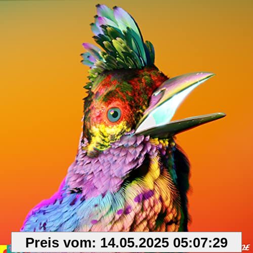 Palaces (Ltd.Deluxe CD) von Flume