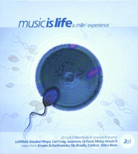 Music Is Life/Chillin' Experie von Flute Worl (Rough Trade)
