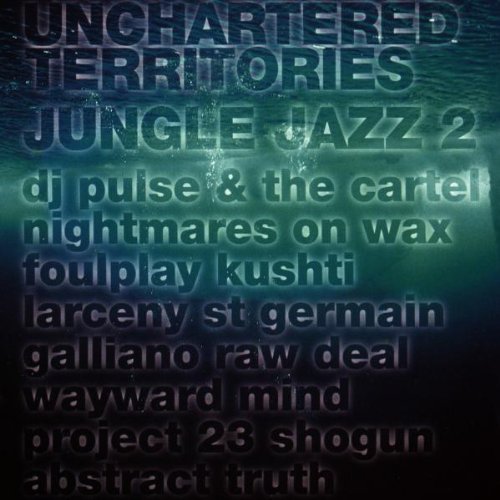 Unchartered Territories-Jungle von Flute Worl (Rough Trade)