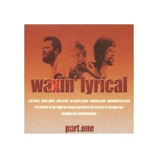 Waxing Lyrical [Vinyl LP] von Flute Worl (Rough Trade)