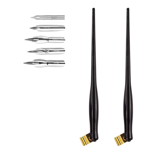 2 Stück Kalligraphie Pen Nib Halter, Kalligraphie Schräg Dip Pen Federstifthaltermit Abnehmbaren Messing Flanschund 5 Federn, Kunststoff Federhalter und Halter Set für Kalligraphie-Schreiben von Flylin
