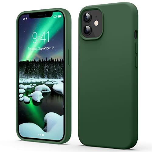 Flyzoo Flüssige Silikon Hülle für iPhone 12/12 Pro (6,1"), Kratzfest & Anti-fingerabdruck Handyhülle mit Rundumschutz: 4-Schicht Schutzhülle, Erhöhter Rand für Bildschirm & Kamera, Klee Grün von Flyzoo