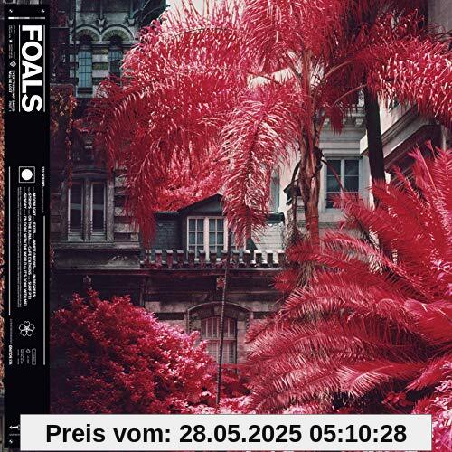 Everything Not Saved Will Be Lost Part 1 von Foals