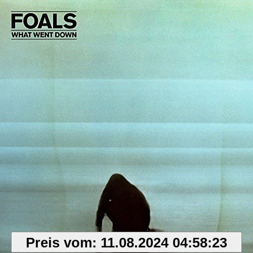 What Went Down von Foals