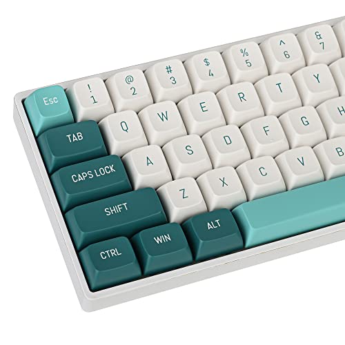 Fogruaden PBT Double Shot Tastenkappen, 163 Tastenkappen-Set, CSA Profil, Benutzerdefinierte Tastenkappen Kompatibel mit Cherry Gateron MX Switches Mechanische Tastatur (Foggy Forest) von Fogruaden