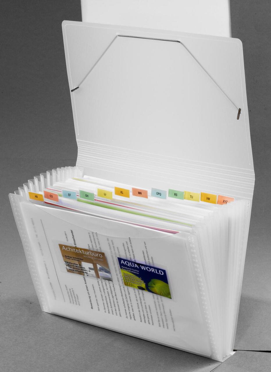 FolderSys Fächermappe Fächermappe, 12fächer transpar DIN A4 12-Fach Transparent von Foldersys