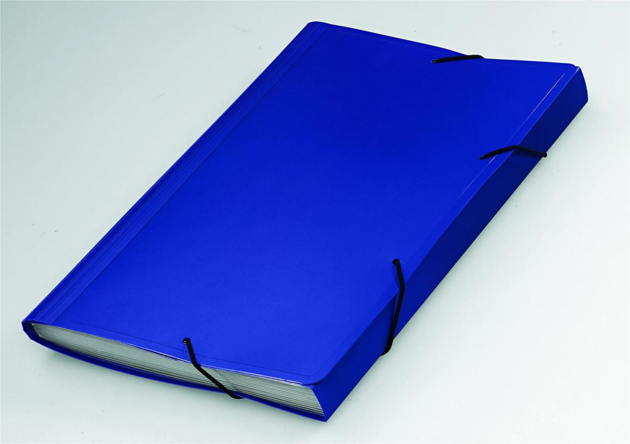 FolderSys Fächermappe Fächermappen,12 Fächer,blau DIN A4 12-Fach Blau von Foldersys