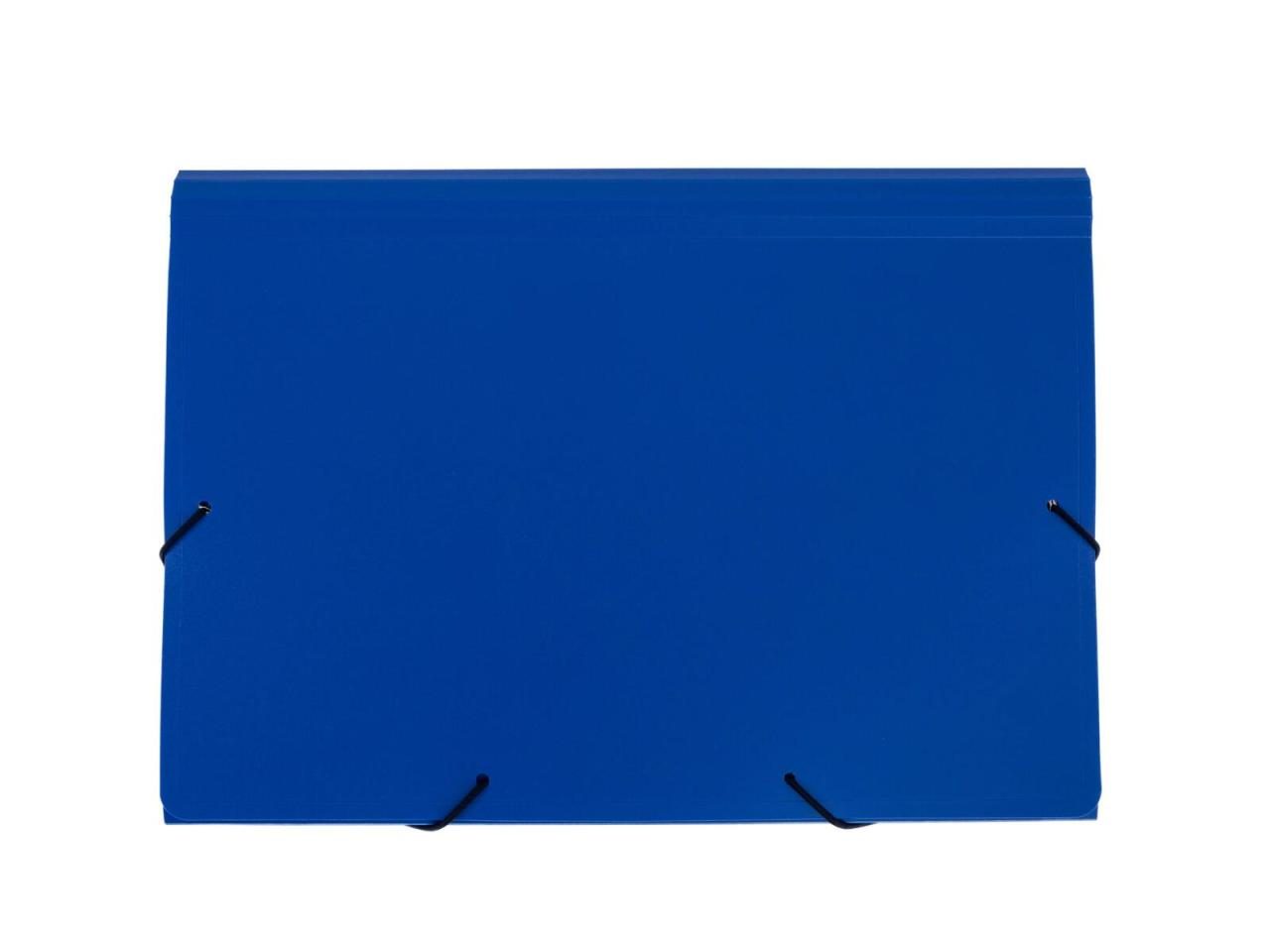 FolderSys Fächermappe Fächermappen,5 Fächer, blau DIN A4 5-Fach Blau von Foldersys