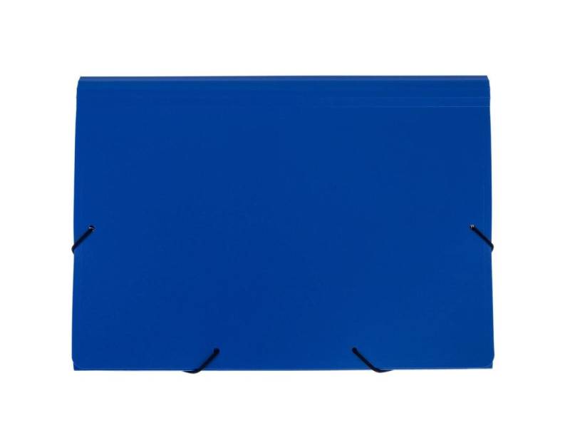 FolderSys Fächermappe DIN A4 5-Fach blau von Foldersys