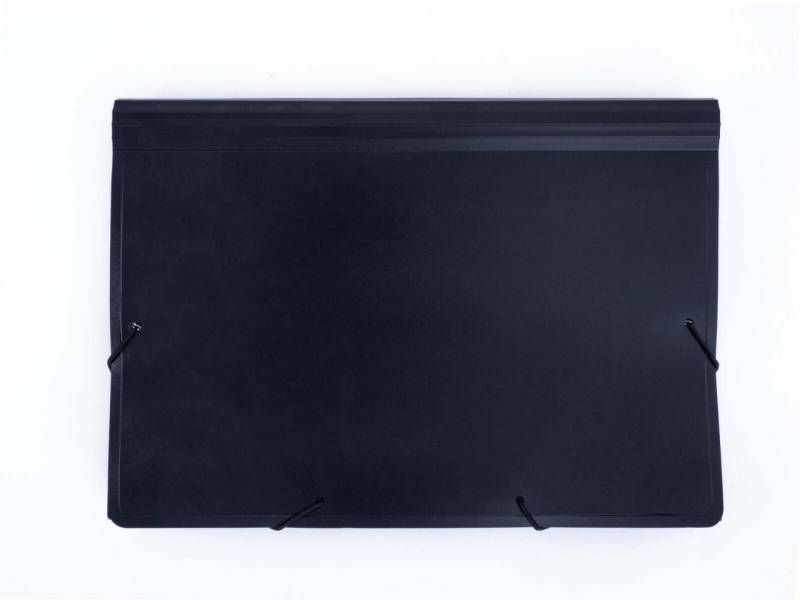FolderSys Fächermappe DIN A4 5-Fach schwarz von Foldersys