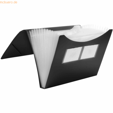 Foldersys Fächer Gummizugmappe A4 PP 12 Fächer Gummizug vollfarbig sch Foldersys Fächer Gummizugmappe A4 PP 12 Fächer Gummizug vollfarbig sch von Foldersys