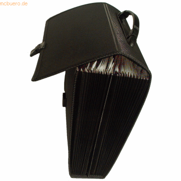 Foldersys Fächertasche A4 PP 24 Fächer mit Griff schwarz Foldersys Fächertasche A4 PP 24 Fächer mit Griff schwarz von Foldersys
