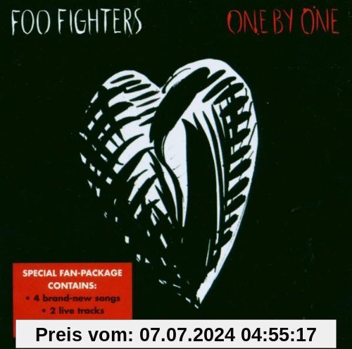 One By One von Foo Fighters