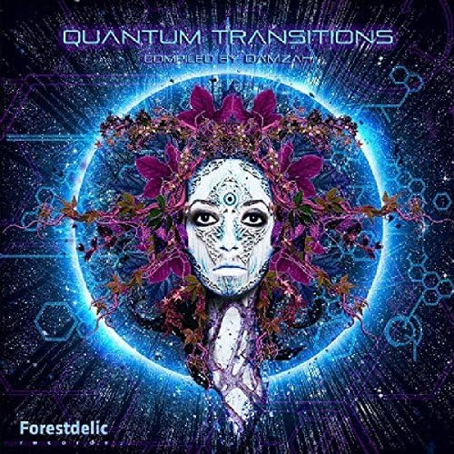 Quantum Transitions von Forestdelic Records (H'Art)