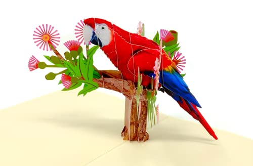 ForeverGiving 3D-Gruß- oder Geburtstagskarte für Papageienvögel Ideale Pop-Up-Karte für Geburtstage, Hochzeiten, Jubiläen usw. Überraschen Sie Ihre Lieben mit einer handgefertigten Karte. von ForeverGiving