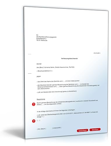 Verfassungsbeschwerde [PDF Download] [Download] von Formblitz AG
