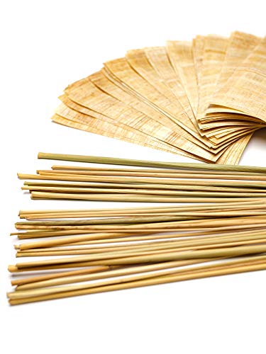 Forum Traiani Binsen Schreibset Klassensatz 30x Papyrus-Streifen 20x10cm und 30 Schreibbinsen aus Ägypten Forum Traiani Binsen Schreibset Klassensatz 30x Papyrus-Streifen 20x10cm und 30 Schreibbinsen aus Ägypten von Forum Traiani