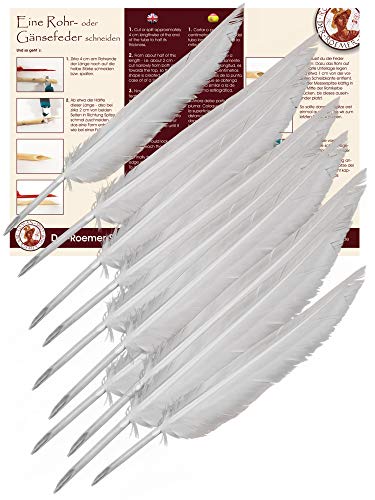 Forum Traiani Feder zum Schreiben 10 Stk. Kalligraphie Schreibfeder, Federkiel zum Zuschneiden Kalligrafie Stift Gänsekiel, Federkiele Set, Schreibrohr Gänsefedern Forum Traiani Feder zum Schreiben 10 Stk. Kalligraphie Schreibfeder, Federkiel zum Zuschneiden Kalligrafie Stift Gänsekiel, Federkiele Set, Schreibrohr Gänsefedern von Forum Traiani