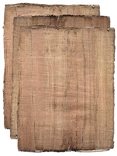 Forum Traiani Papyrus Antik-Papyrus 3 Blatt aus Ägypten, altertümlicher Papyr, Papyrusblätter, Papyrus-Papier aus dem Land der Pharaonen von Forum Traiani