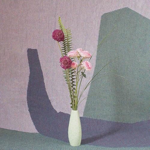 Ambient Ensemble [Vinyl LP] von Forward Music Group