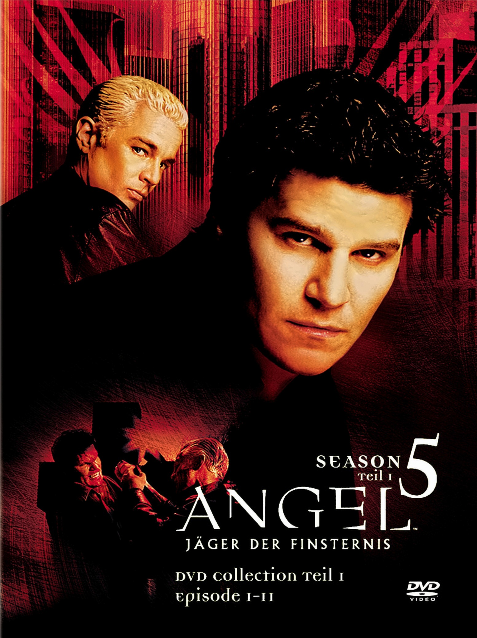 Angel - Jäger der Finsternis: Season 5.1 Collection (3 DVDs) von Fox